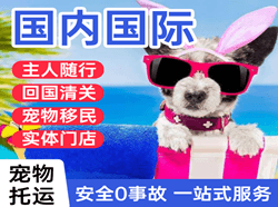大长山空运国际宠物托运 【国